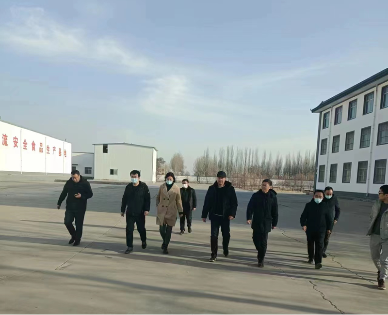 石嘴山市副市長、惠農(nóng)區(qū)委書記王宇翔蒞臨寧夏興康恒潤農(nóng)業(yè)科技發(fā)展有限公司調(diào)研